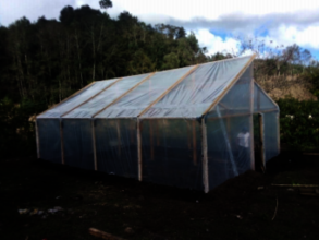Greenhouse construction