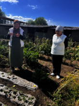 Women in her vegetable garden