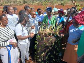Grow Bag Training
