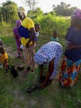 Women in Senegal receiving tree seedlings