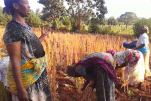 A gardener talks about issues with her harvest