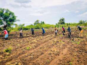 Working in rows