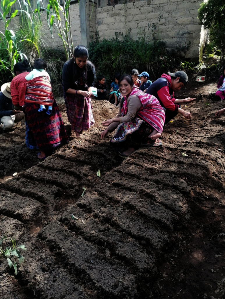 Seeds and Skills for Women to Grow Vegetables