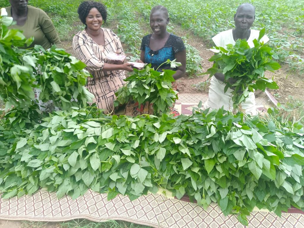 Seeds and Skills for Women to Grow Vegetables