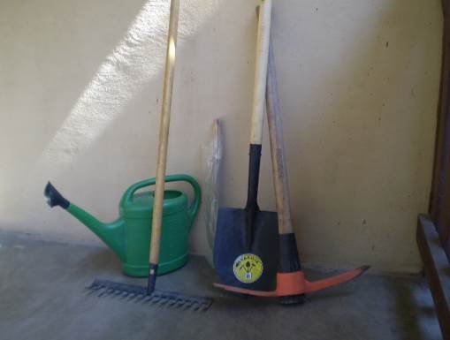 Seeds and Skills for Women to Grow Vegetables