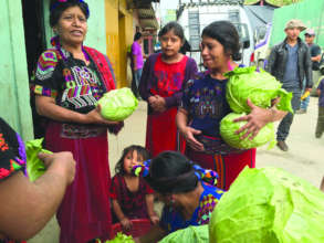 Guatemala Market