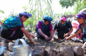 Seeds and Skills for Women to Grow Vegetables