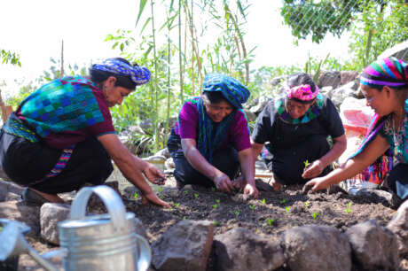 Seeds and Skills for Women to Grow Vegetables