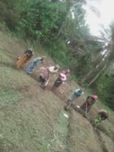 Women Working in the School Garden