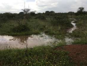 Water Catchment Pond