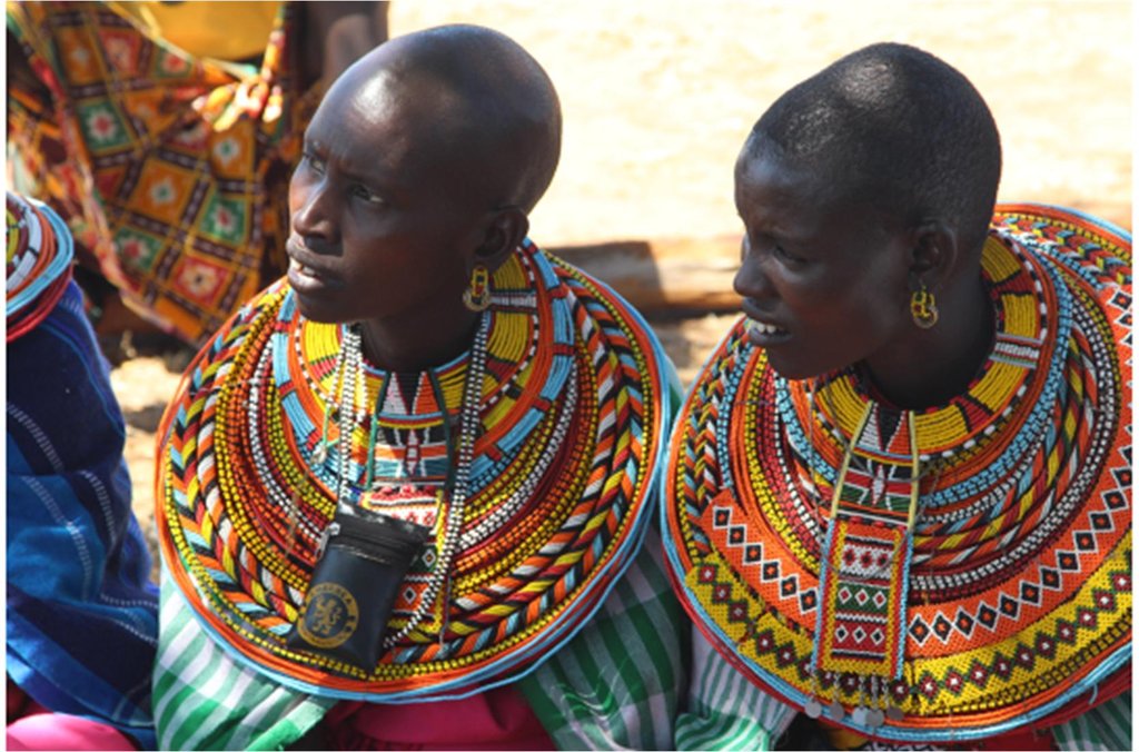 Long-Term Food Security for 4000 Samburus in Kenya