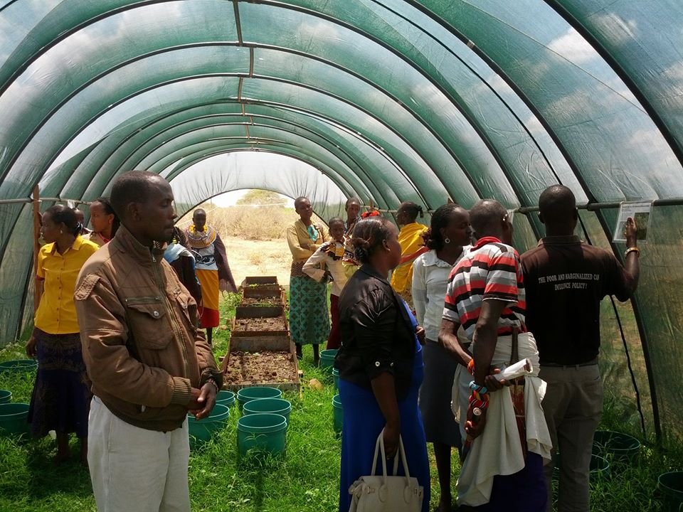 Long-Term Food Security for 4000 Samburus in Kenya