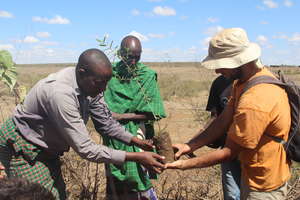 Community Tree Planting