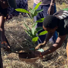 Planting at Samuel's