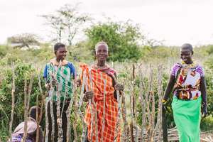 Samburu women teach us to build a manyatta (house)