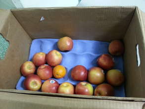 Leftover Cuisine is Nutritious and Healthy