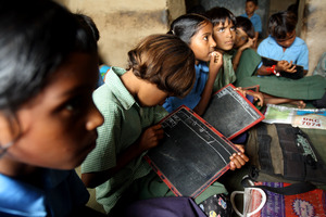 A group of children concentrating on their studies