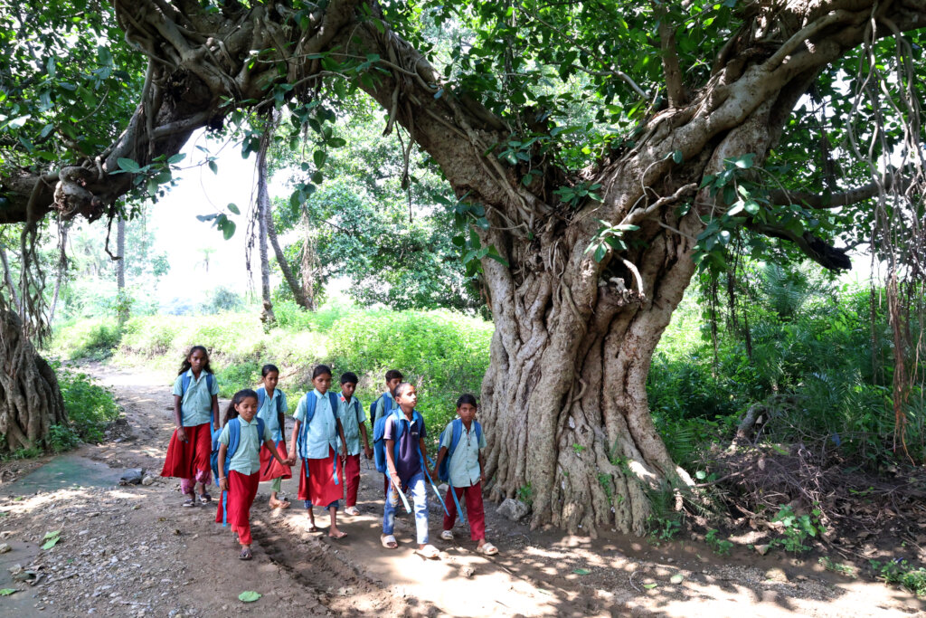 Send a Child in India to School for a Year