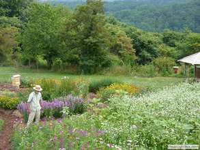 Gunther in the flower garden