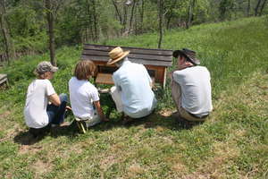 Educational opportunities