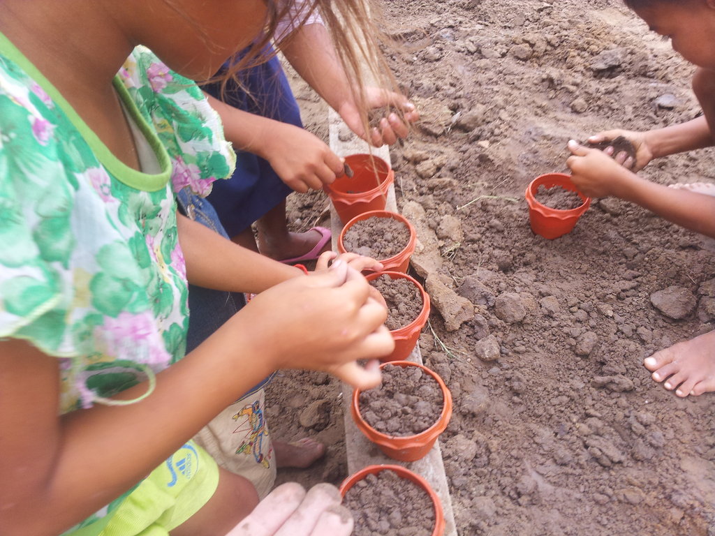 Bring Community Gardens to 10,000+ in Cambodia