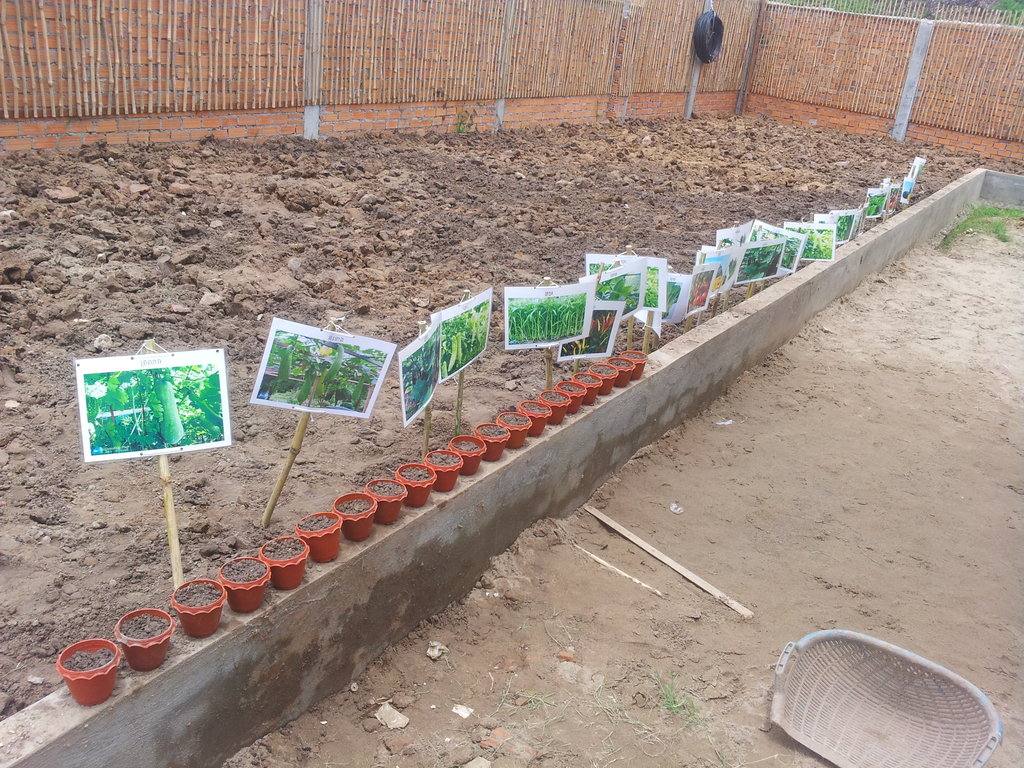 Bring Community Gardens to 10,000+ in Cambodia