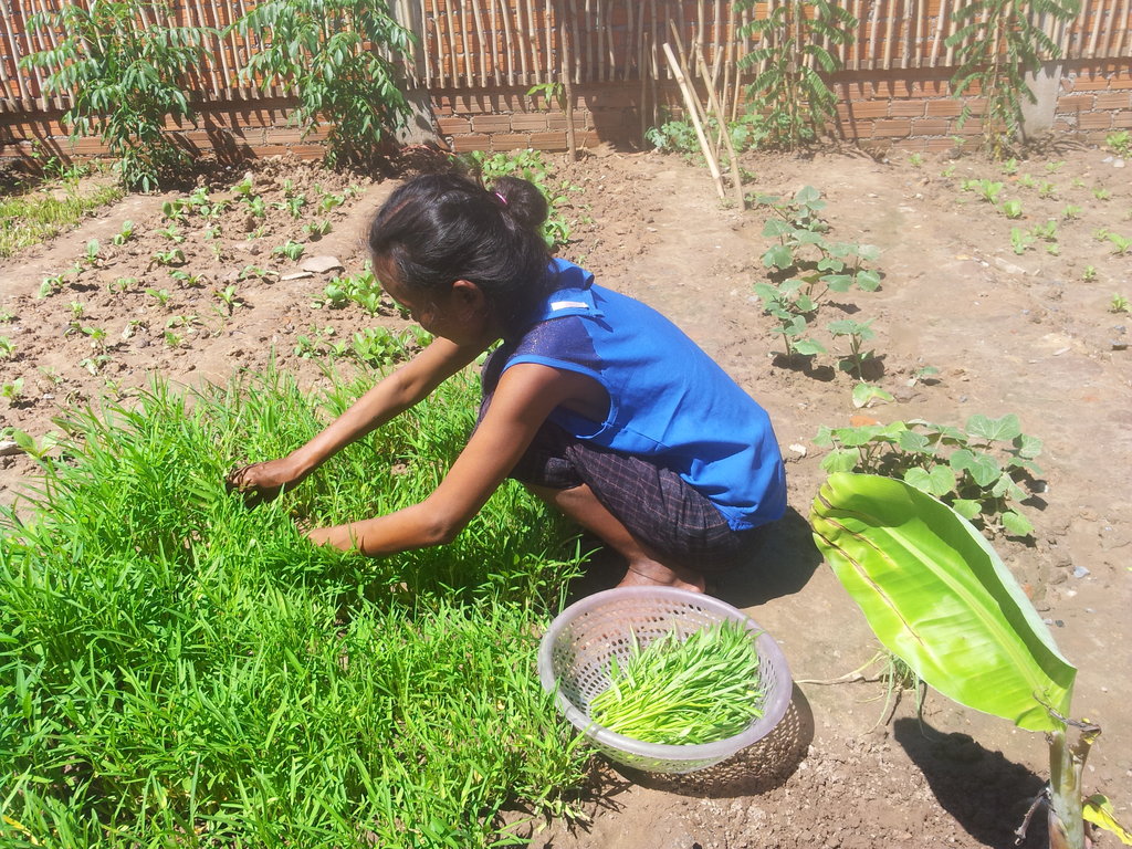 Bring Community Gardens to 10,000+ in Cambodia