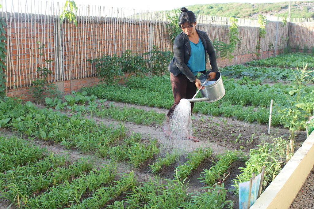 Bring Community Gardens to 10,000+ in Cambodia