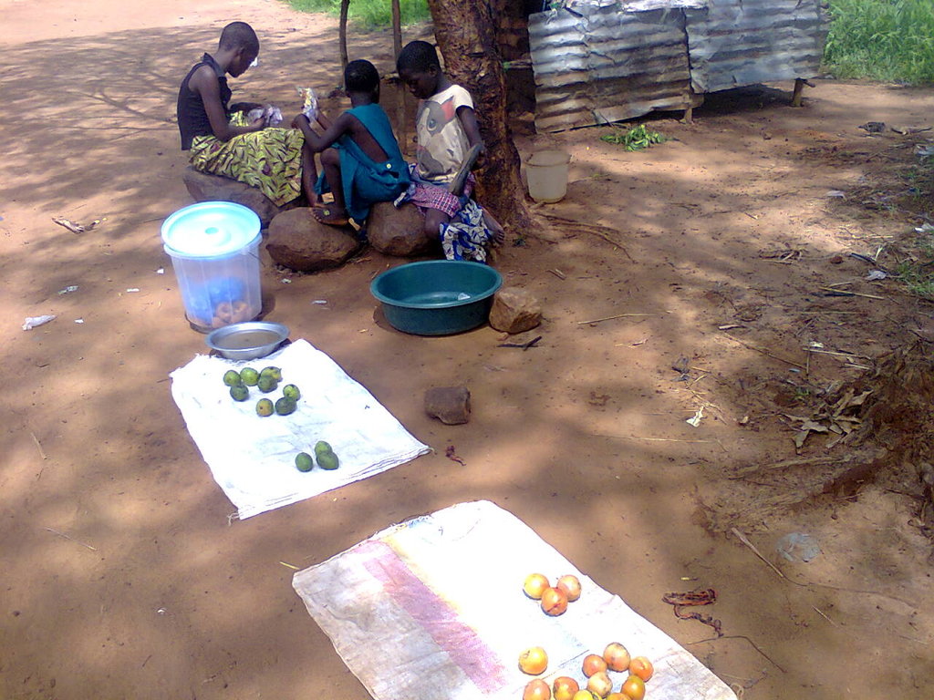give underpreviledged families small bussinesses