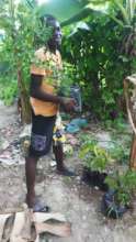 Agriculture supplies and lessons continue