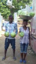 New crops to market!