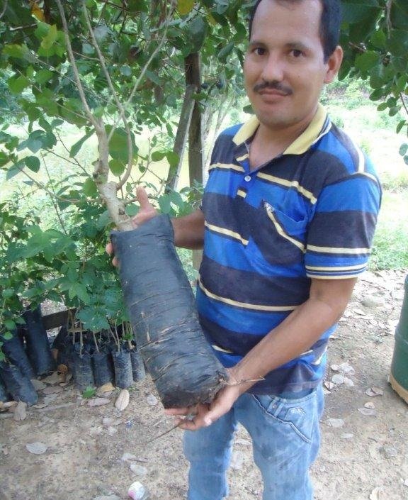 Informe Espanol