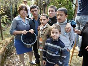 Harvest, wine making