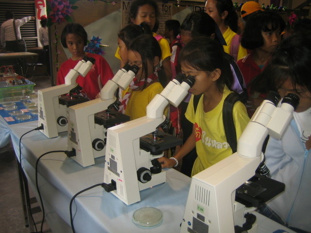 Send Migrant Burmese and Thai Children to School