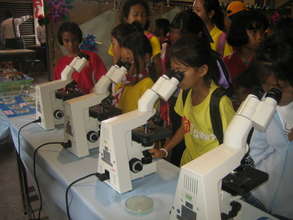 Discovering the microscopic world