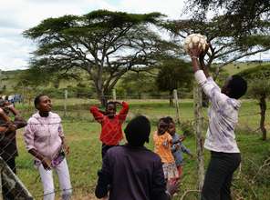 Fun with volleyball