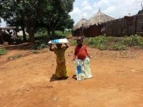 Young children who received free LLINs