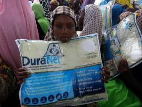 Preventing Childhood Malaria Deaths in Mashegu