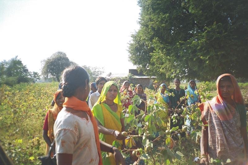 Livelihood for 500 Tribal Women in Gujarat
