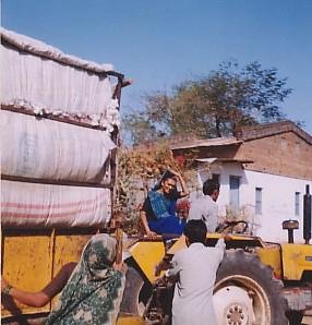 Livelihood for 500 Tribal Women in Gujarat
