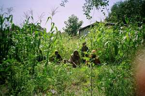 women farmers in their field