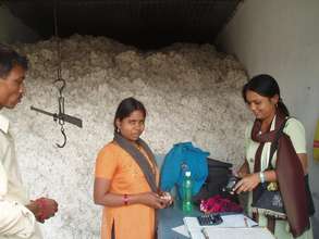 Cotton collection