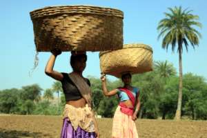 Women taking vegetables from the farm