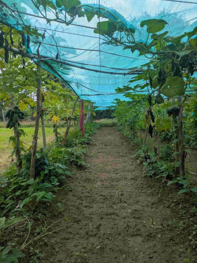 Farming Smarter, Growing Better