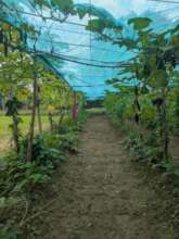 Farming Smarter, Growing Better