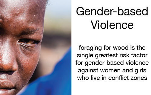 Help 1500 Women/Girls Lift Themselves from Poverty