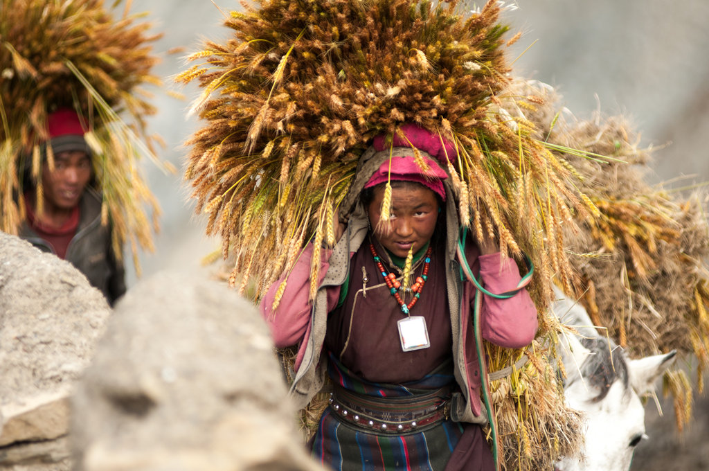 Raise The Roof for Mothers & Babies in Nepal