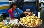 Organic Mangoes in the Philippines