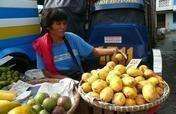 Organic Mangoes in the Philippines