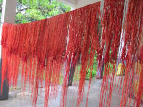 Red Holiday Raffia